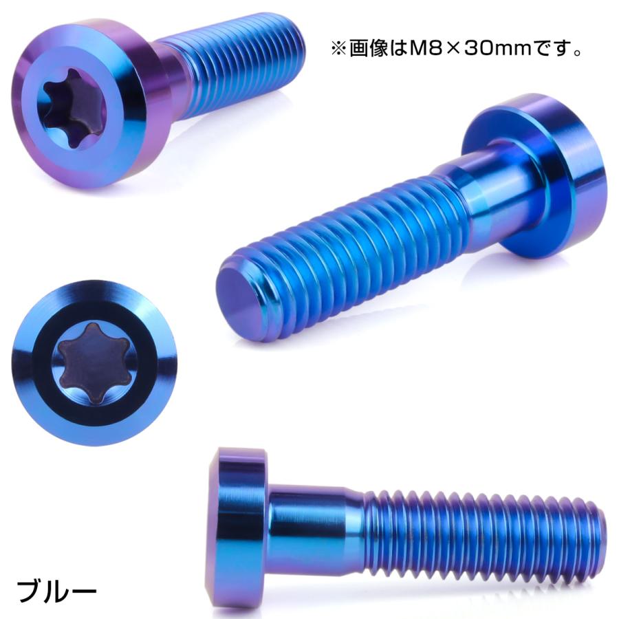 チタンボルト M8×20mm P1.25 トルクス穴 キャップボルト ローヘッドボルト ブルー JA1406 | ブランド登録なし | 02