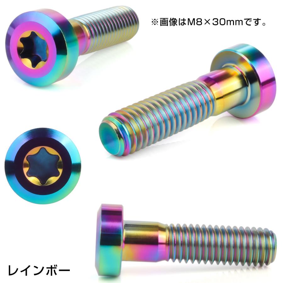 チタンボルト M8×20mm P1.25 トルクス穴 キャップボルト ローヘッドボルト レインボー 虹色 JA1408 | ブランド登録なし | 02