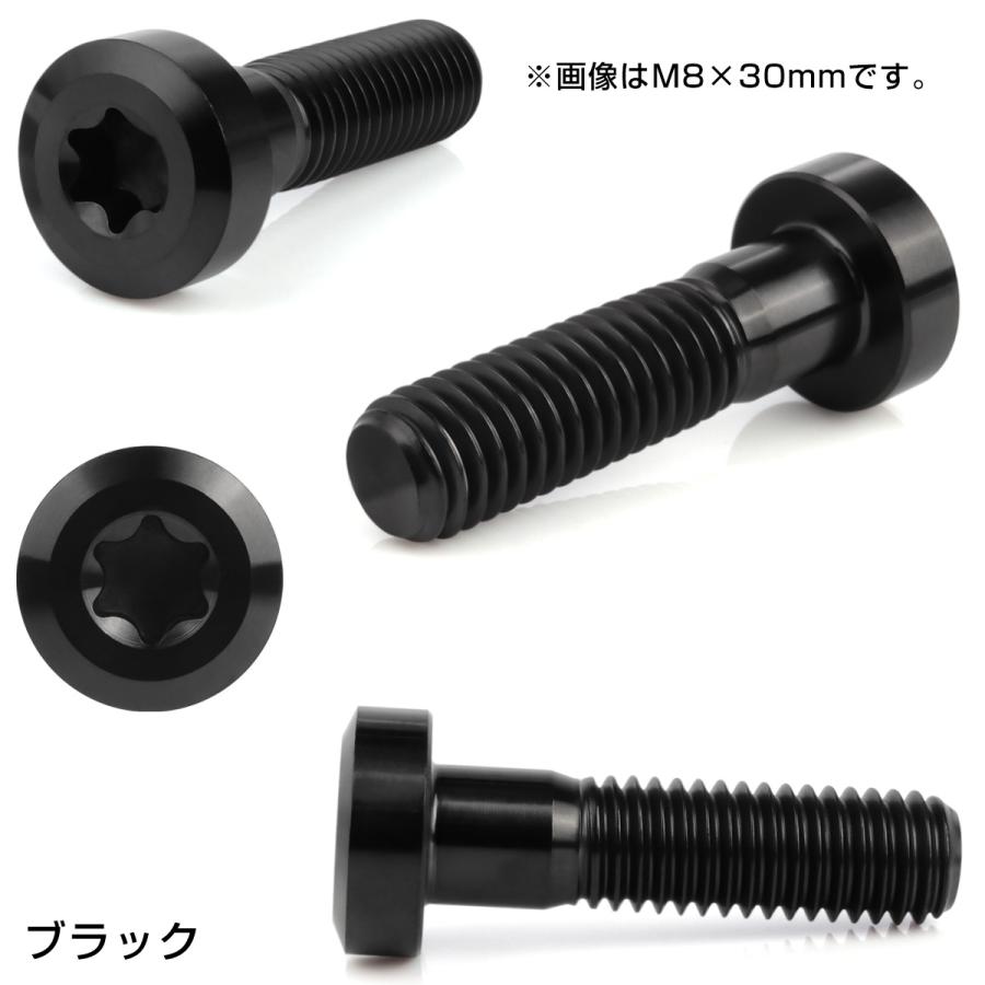 チタンボルト M8×40mm P1.25 トルクス穴 キャップボルト ローヘッド