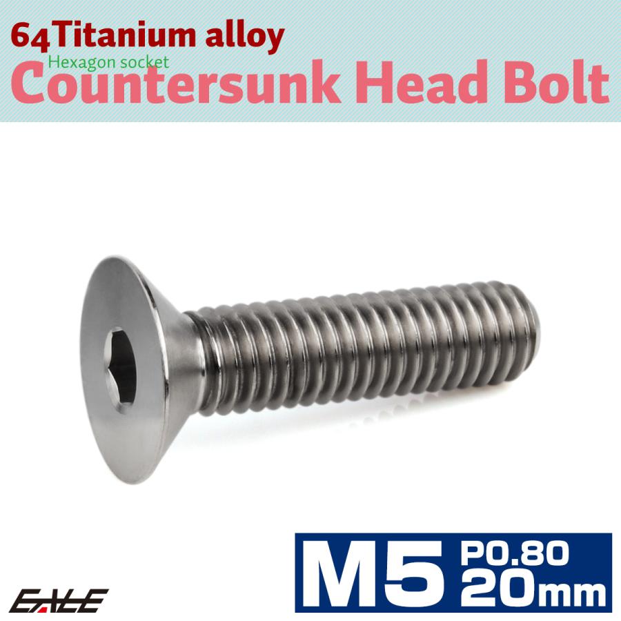 チタンボルト M5×20mm P0.8 皿ボルト 六角穴 皿 キャップボルト シルバー JA1506 | ブランド登録なし | 01