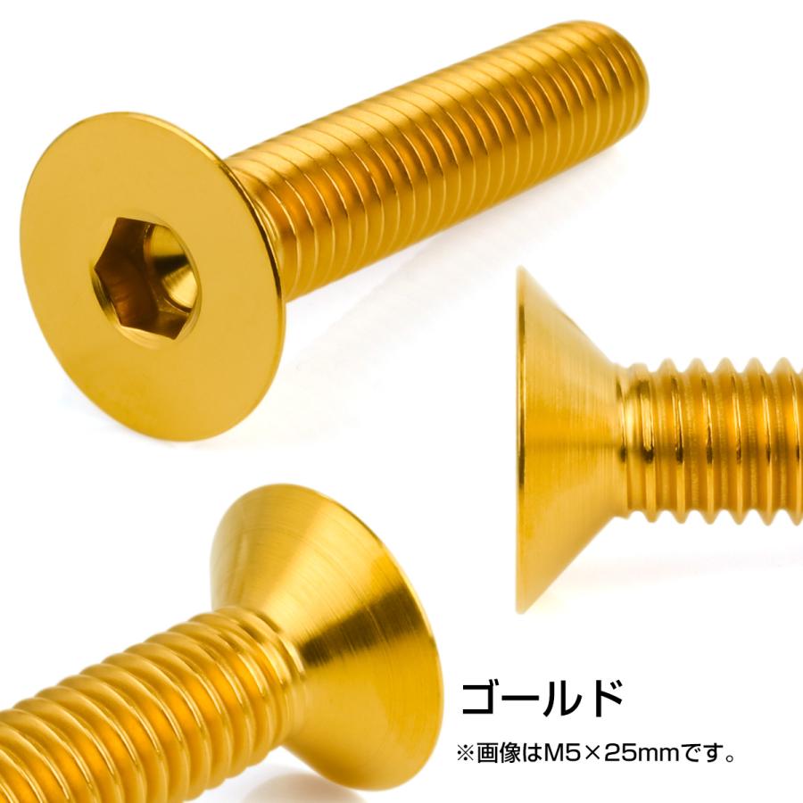 チタンボルト M6×10mm P1.0 皿ボルト 六角穴 皿 キャップボルト ゴールド JA1537 | ブランド登録なし | 02