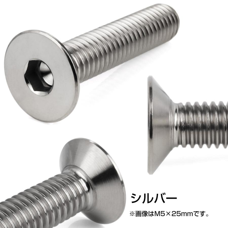 チタンボルト M6×20mm P1.0 皿ボルト 六角穴 皿 キャップボルト シルバー JA1548｜eale｜03