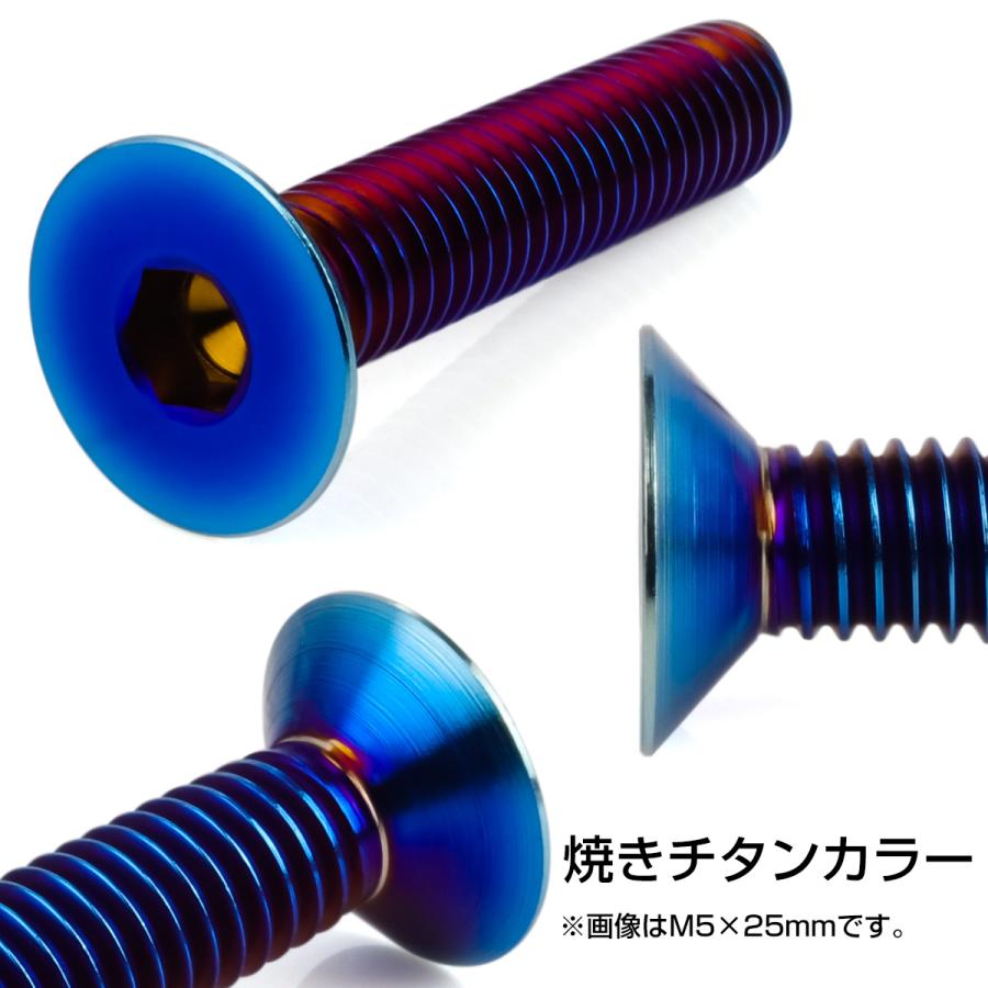 チタンボルト M6×25mm P1.0 皿ボルト 六角穴 皿 キャップボルト 焼き