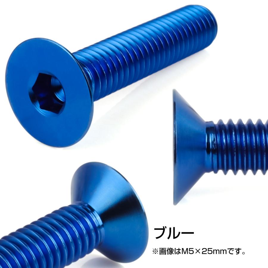 チタンボルト M6×30mm P1.0 皿ボルト 六角穴 皿 キャップボルト ブルー JA1564 | ブランド登録なし | 02