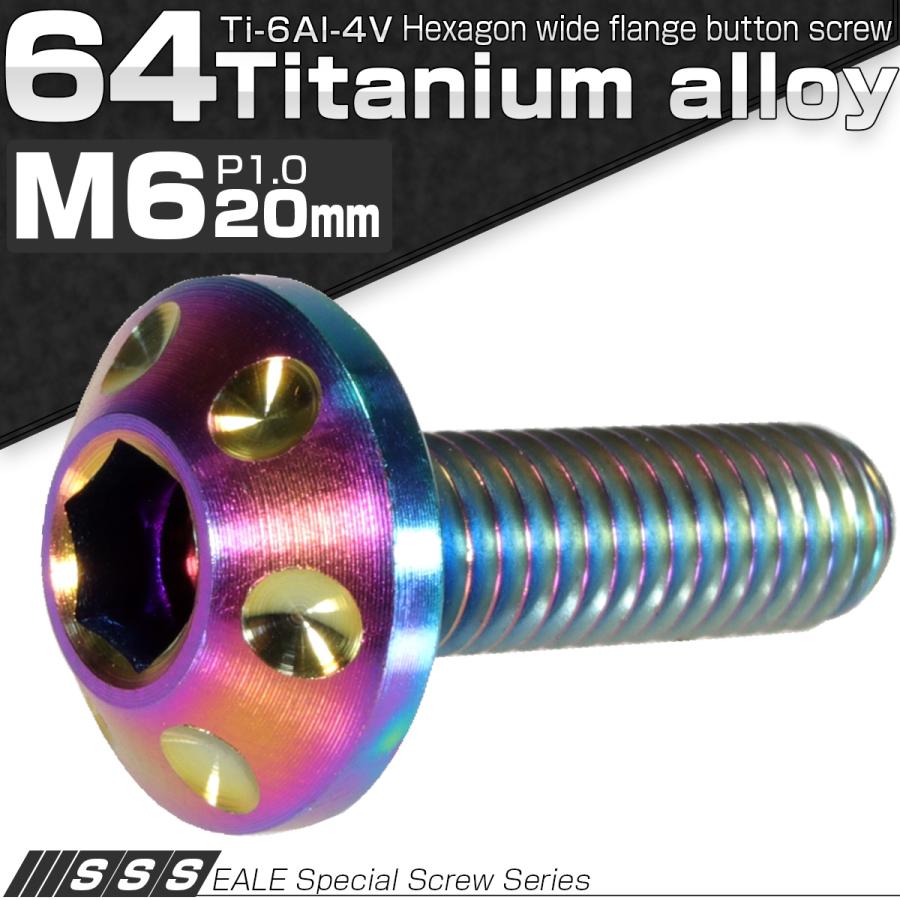 チタンボルト M6×20mm P1.00 頭部径14mm ボタンボルト 六角穴 レインボー ホール JA164 | ブランド登録なし | 01