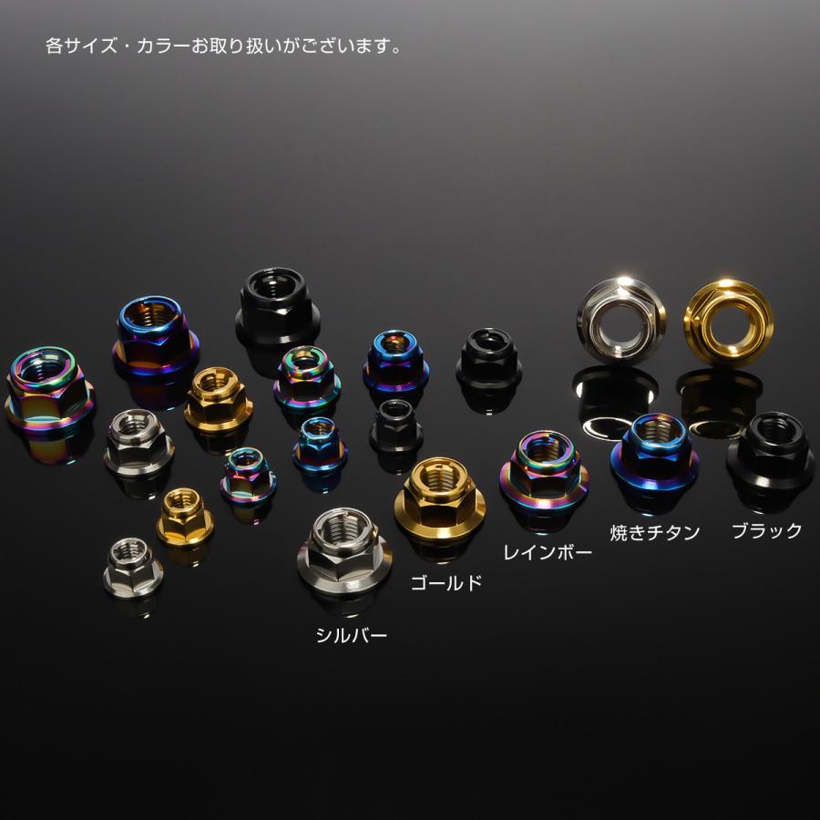 チタンナット M10 P1.25 フリクションリングナット フランジ付き 六角ナット ゆるみ止めナット シルバー JA1650 | ブランド登録なし | 03