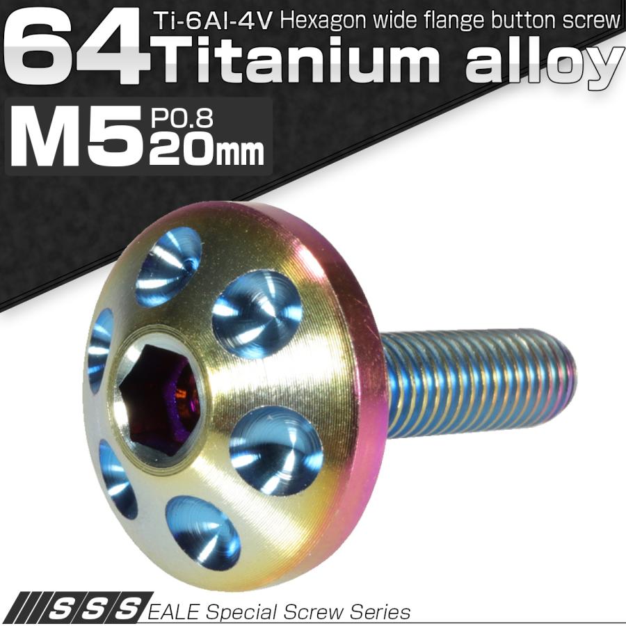 チタンボルト M5×20mm P0.80 頭部径16mm ボタンボルト 六角穴 レインボー ホール JA165 | ブランド登録なし | 01