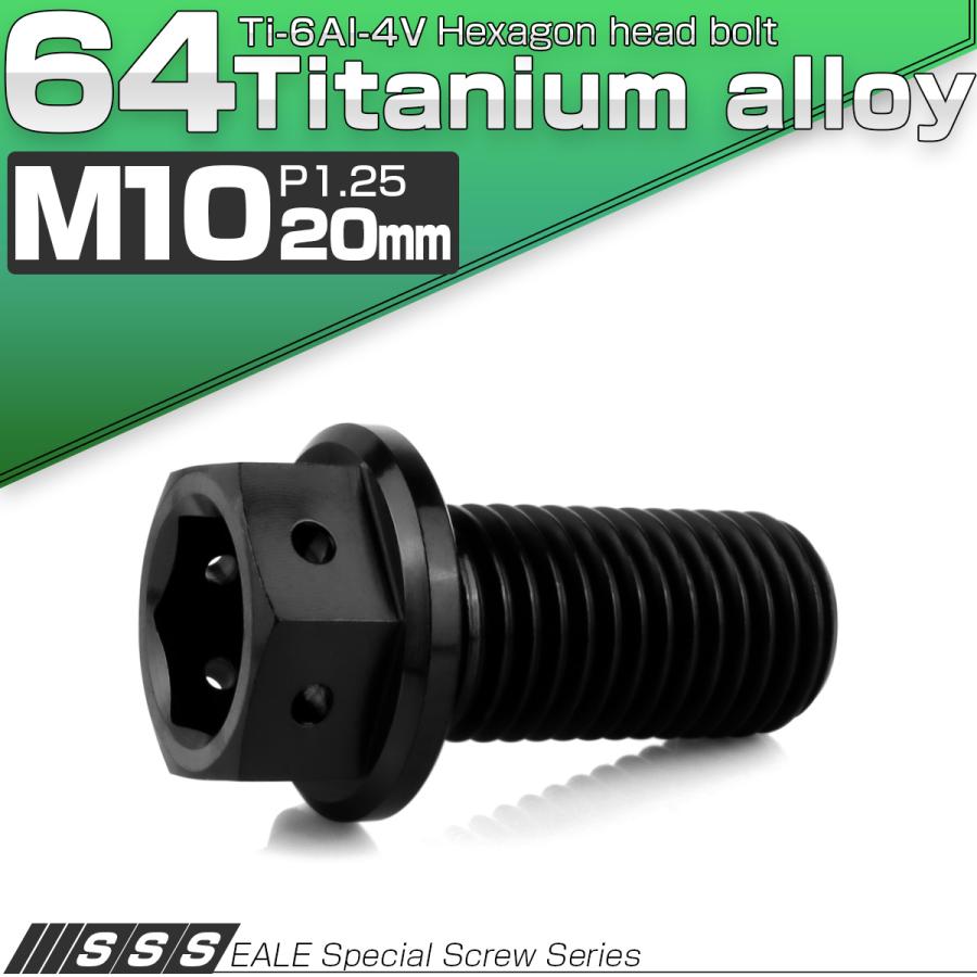 チタンボルト M10×20mm P1.25 六角ボルト 六角穴付き ホールヘッド