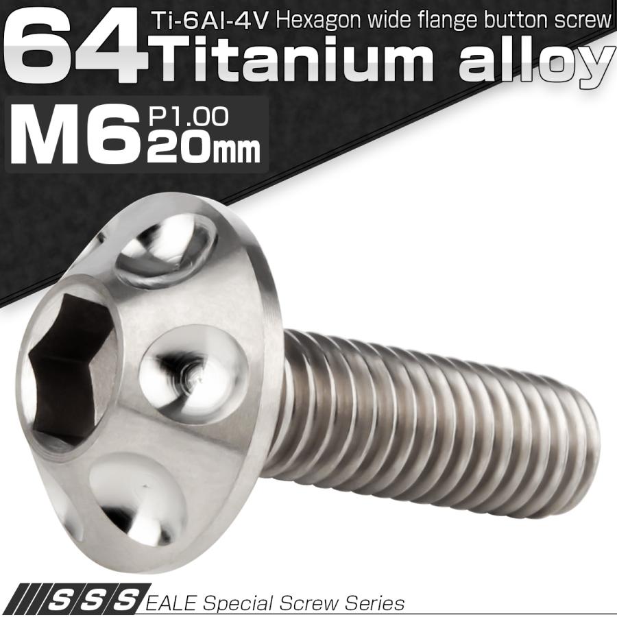 チタンボルト M6×20mm P1.00 頭部径14mm ボタンボルト 六角穴 グレー 素地色 ホール JA180 | ブランド登録なし | 01