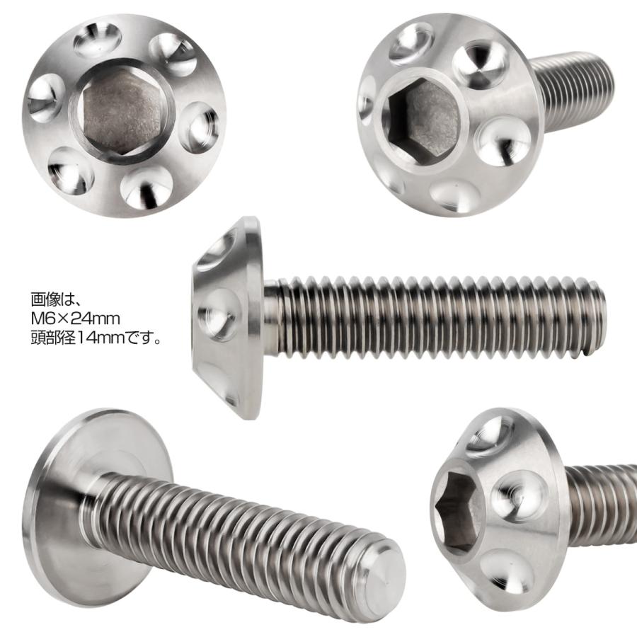 チタンボルト M6×20mm P1.00 頭部径14mm ボタンボルト 六角穴 グレー 素地色 ホール JA180 | ブランド登録なし | 02