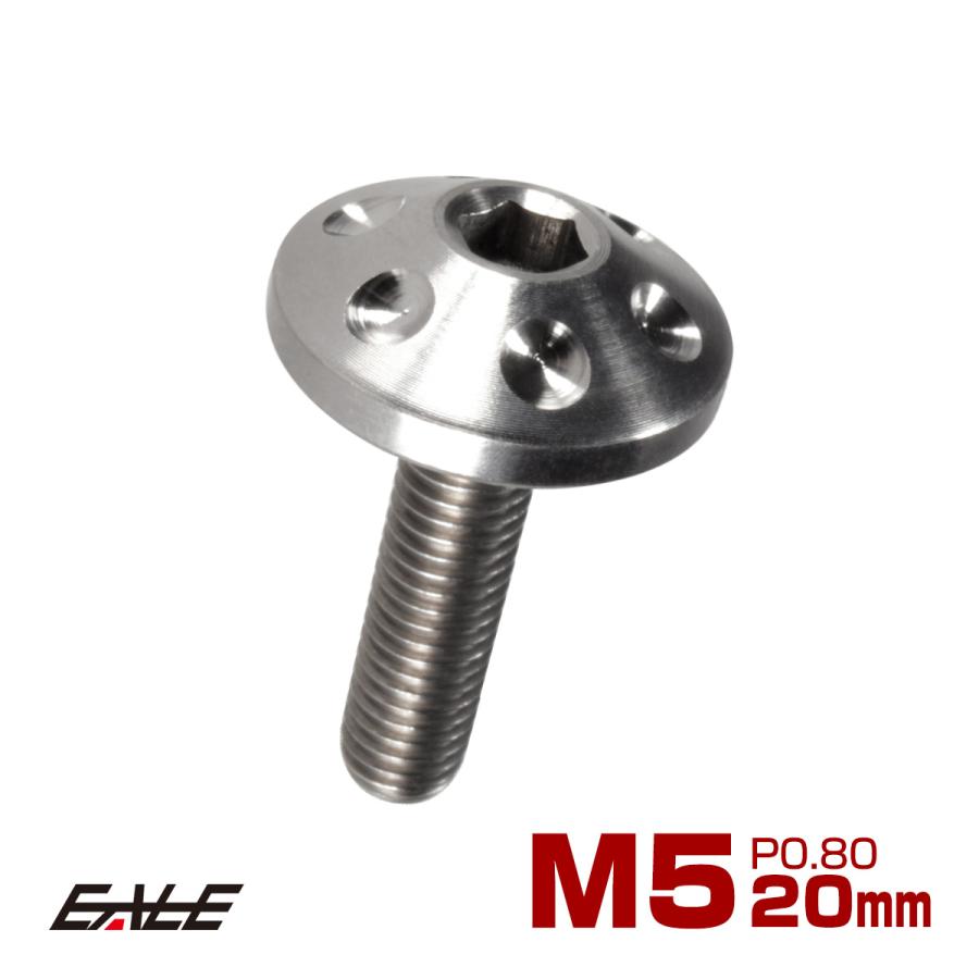 チタンボルト M5×20mm P0.80 頭部径16mm ボタンボルト 六角穴 グレー 素地色 ホール JA181 | ブランド登録なし