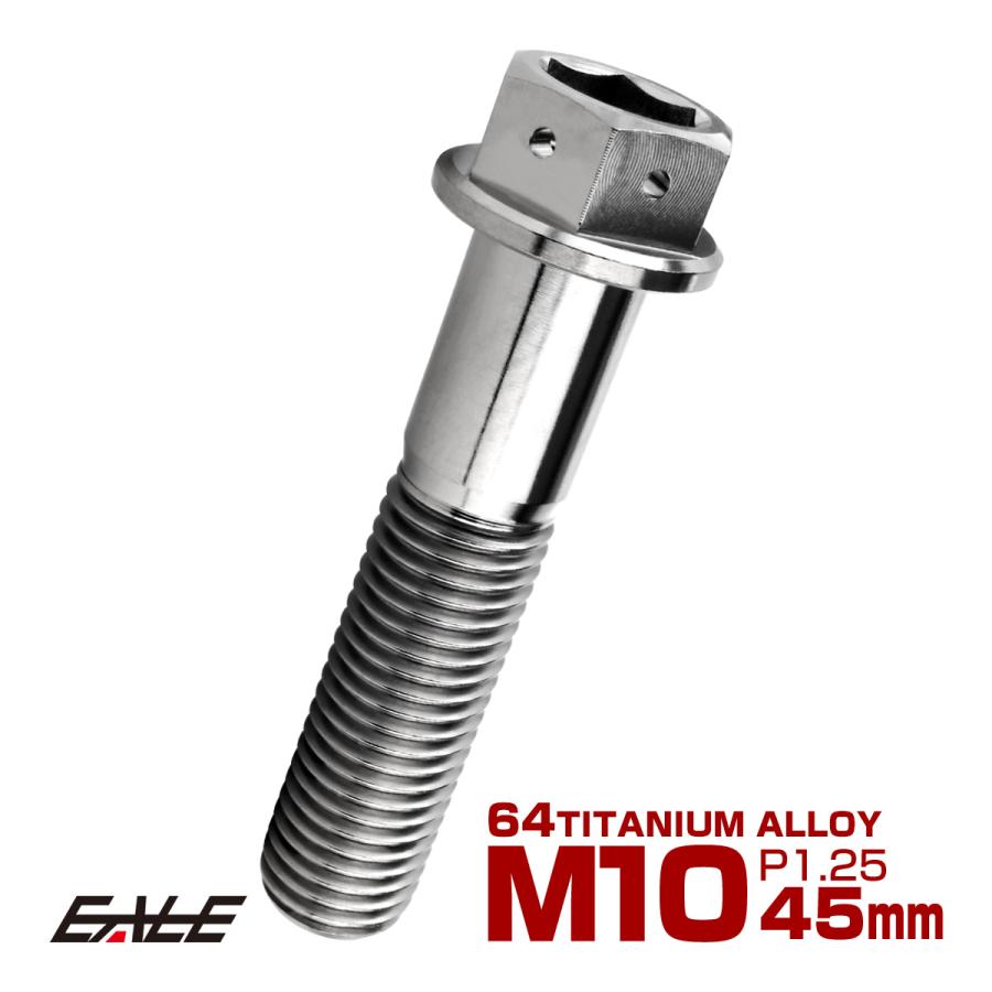 チタンボルト M10×45mm P1.25 六角ボルト 六角穴付き ホールヘッド フランジボルト シルバー JA1816 | ブランド登録なし