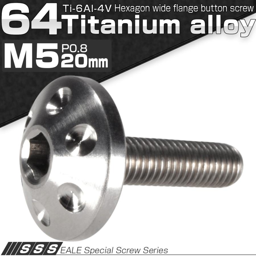 チタンボルト M5×20mm P0.80 頭部径16mm ボタンボルト 六角穴 グレー 素地色 ホール JA181 | ブランド登録なし | 01