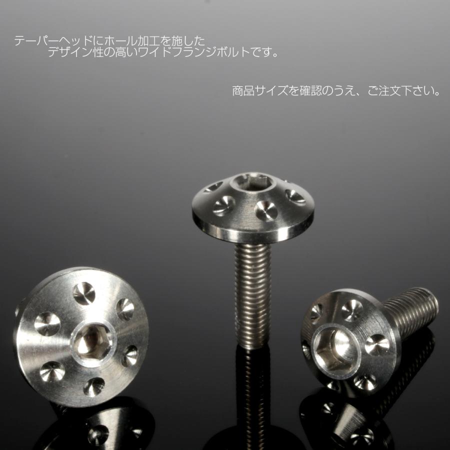チタンボルト M5×20mm P0.80 頭部径16mm ボタンボルト 六角穴 グレー 素地色 ホール JA181 | ブランド登録なし | 03