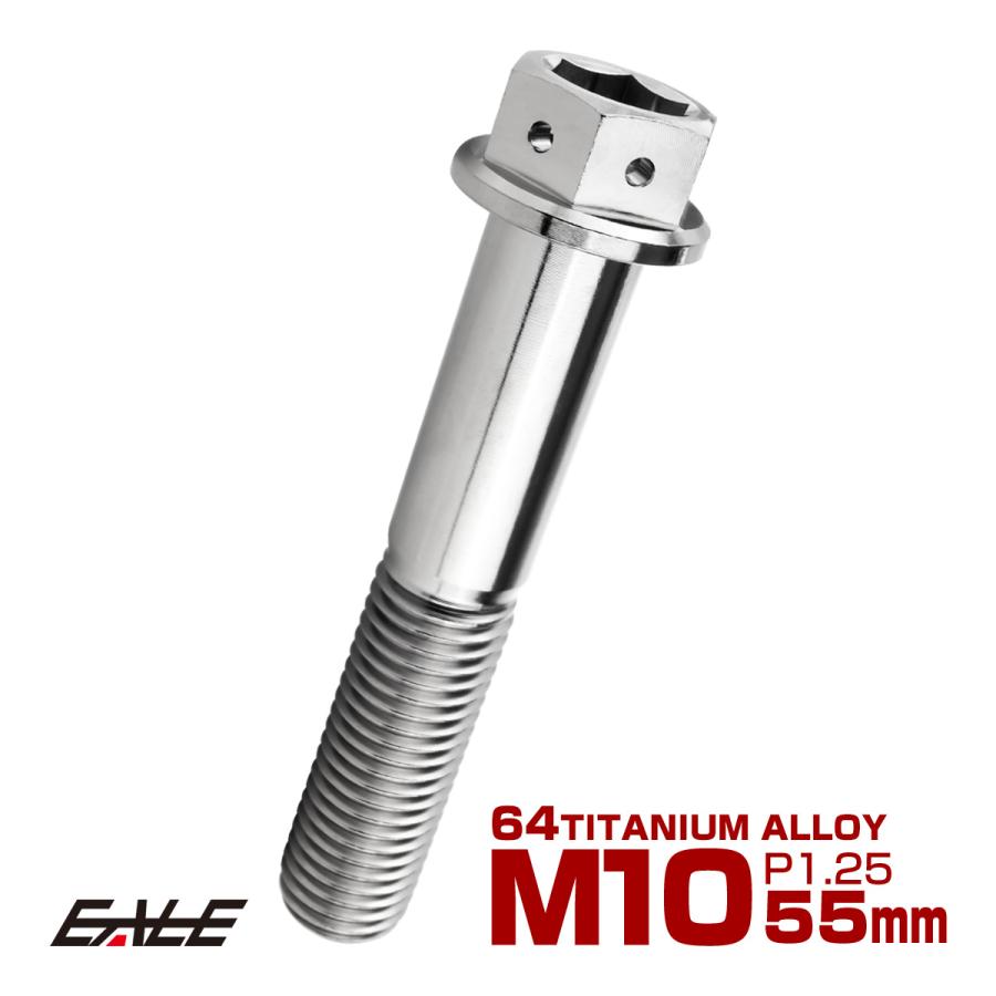 チタンボルト M10×55mm P1.25 六角ボルト 六角穴付き ホールヘッド フランジボルト シルバー JA1822 | ブランド登録なし