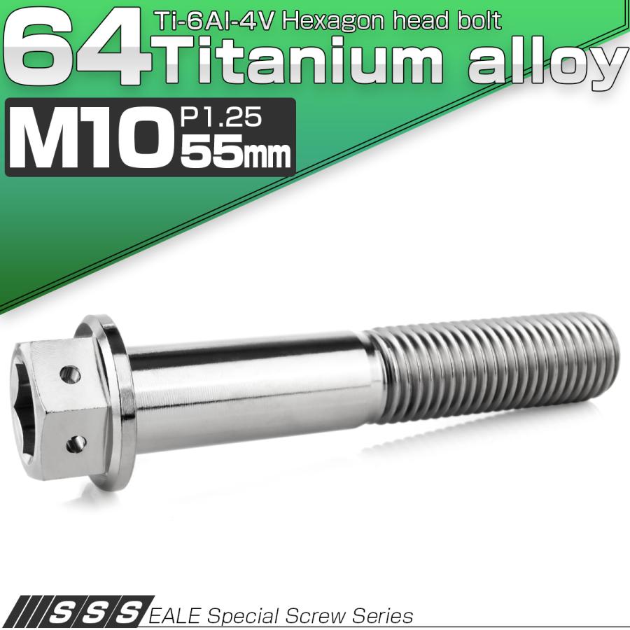 チタンボルト M10×55mm P1.25 六角ボルト 六角穴付き ホールヘッド フランジボルト シルバー JA1822 | ブランド登録なし | 01