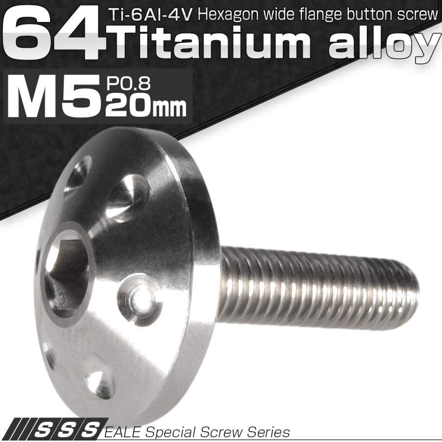 チタンボルト M5×20mm P0.80 頭部径18mm ボタンボルト 六角穴 グレー 素地色 ホール JA182 | ブランド登録なし | 01