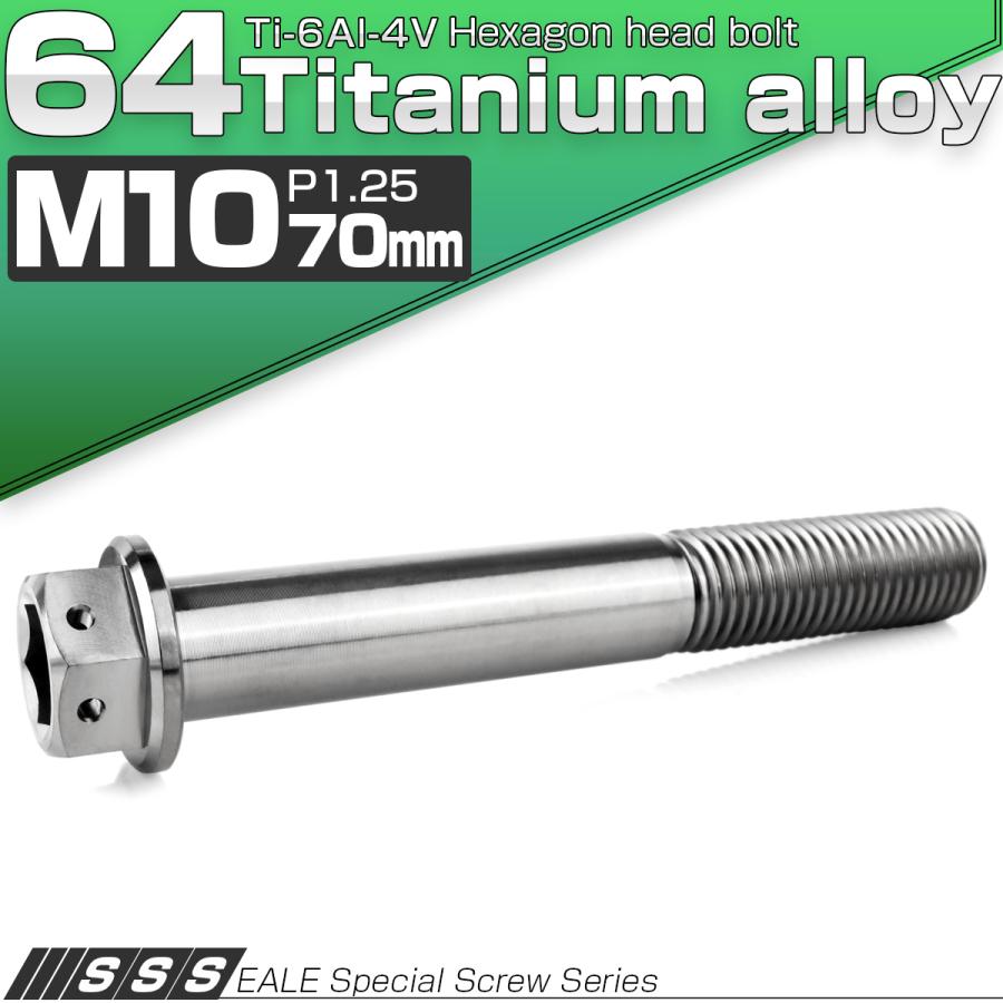 チタンボルト M10×70mm P1.25 六角ボルト 六角穴付き ホールヘッド フランジボルト シルバー JA1831 | ブランド登録なし | 01