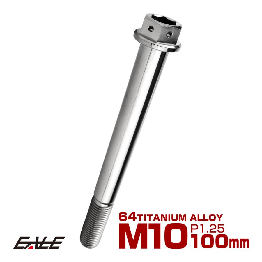 チタンボルト M10×100mm P1.25 六角ボルト 六角穴付き ホールヘッド フランジボルト シルバー JA1840 | ブランド登録なし