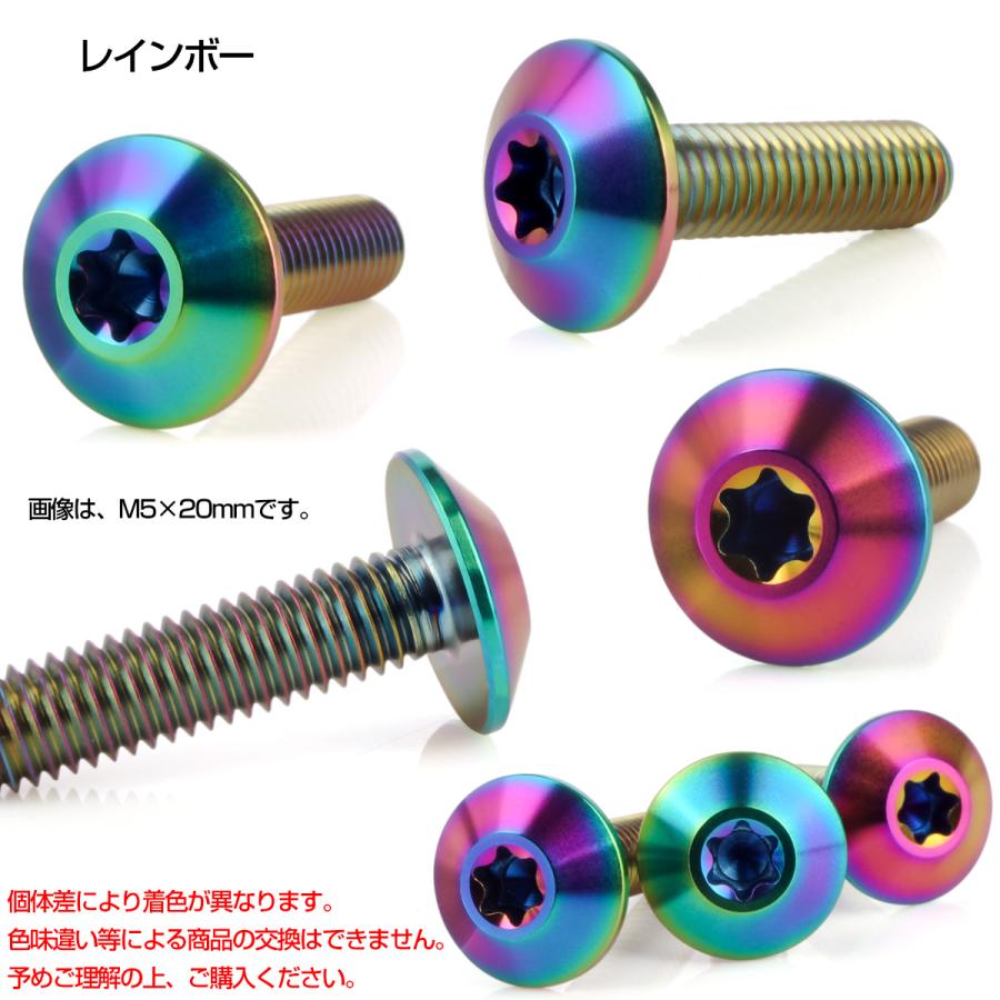 チタンボルト M5 20mm P0.8 ボタンボルト トルクス穴付き デザインボルト レインボー JA1863 | ブランド登録なし | 02