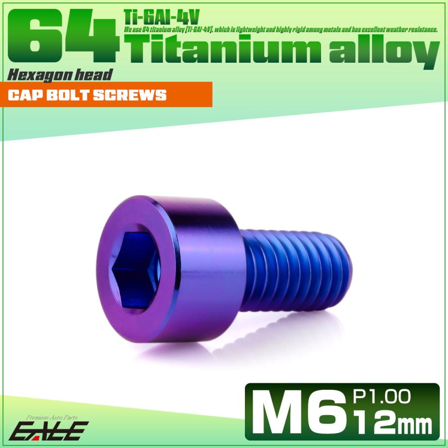 チタンボルト M6×12mm P1.0 キャップボルト キャップスクリュー 六角穴付き ボルト パープルブルー JA1916 | ブランド登録なし | 01