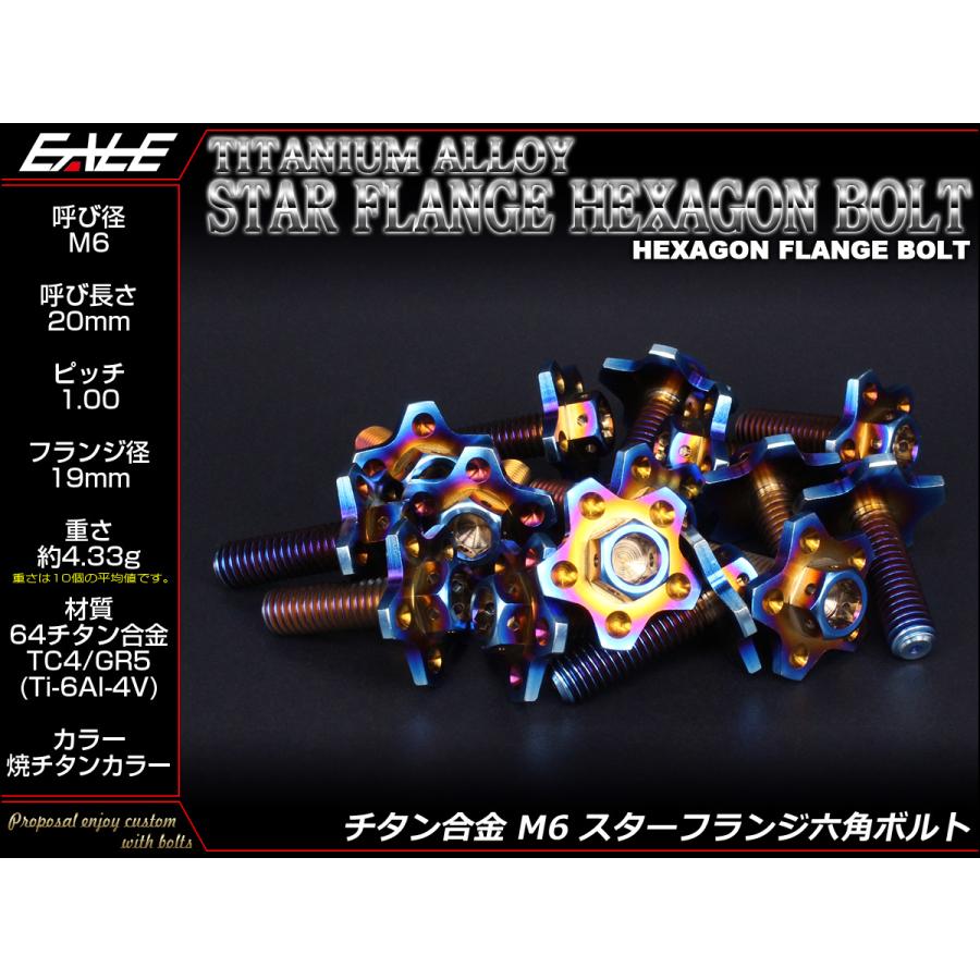 チタンボルト M6×20mm P1.00 フランジ径19mm 六角ボルト 焼チタンカラー スターフランジ JA195 | ブランド登録なし | 01