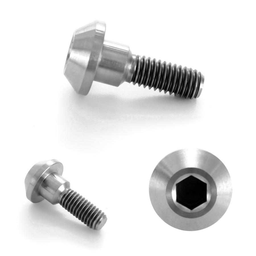 チタンボルト M6×20mm P1.00 ブレーキディスク ローターボルト ヤマハ車用 シルバー JA199 | ブランド登録なし | 02