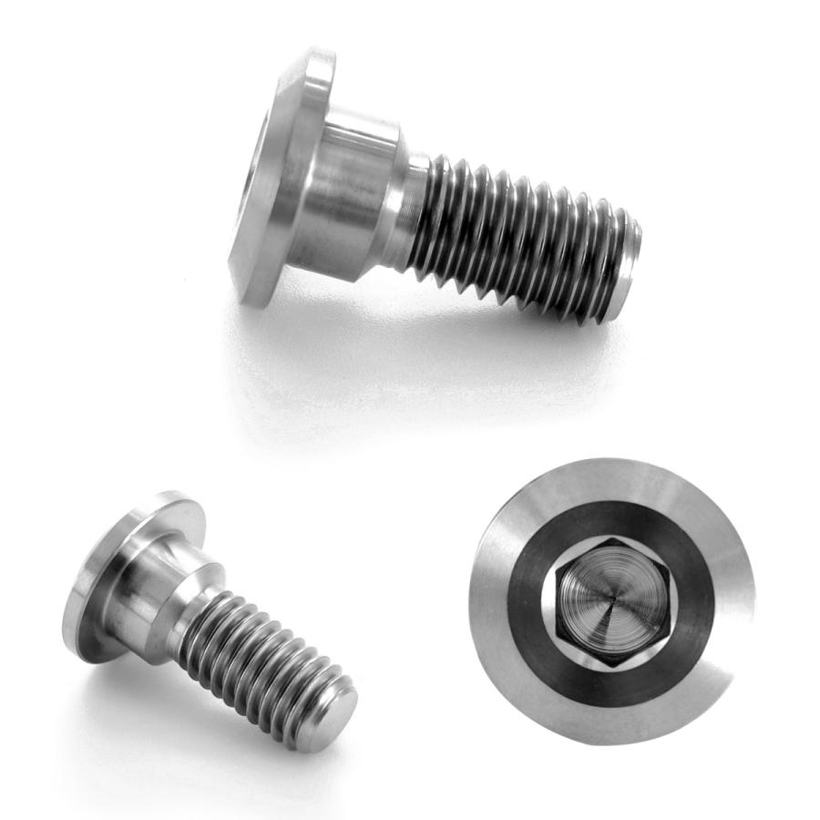 チタンボルト M8×20mm P1.25 ブレーキディスク ローターボルト ヤマハ車用 シルバー JA201 | ブランド登録なし | 02