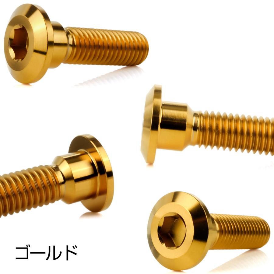 チタンボルト M8×30mm P=1.25 ブレーキディスク ローター ボルト カワサキ車用 ゴールド JA2040 | カワサキ | 02
