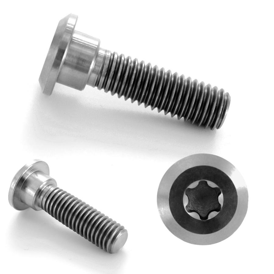 チタンボルト M8×30mm P=1.25 ブレーキディスク ローター ボルト カワサキ車用 シルバー 原色 JA205 | カワサキ | 02