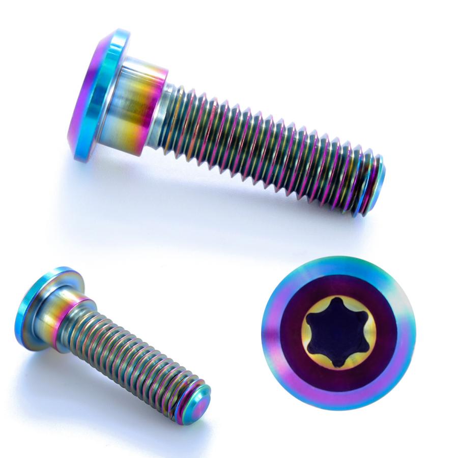 チタンボルト M8×30mm P=1.25 ブレーキディスク ローター ボルト カワサキ車用 虹色 JA206 | カワサキ | 02