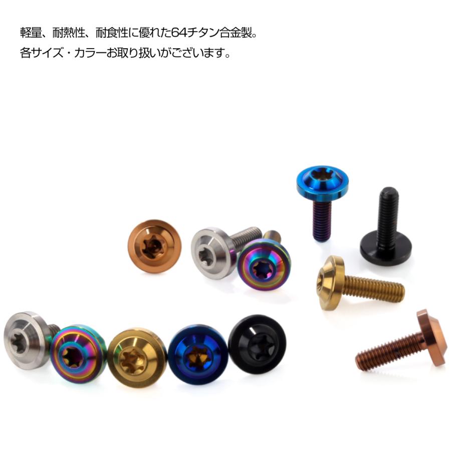 チタンボルト M10×35mm P1.25 ボタンボルト トルクスヘッド フランジ付