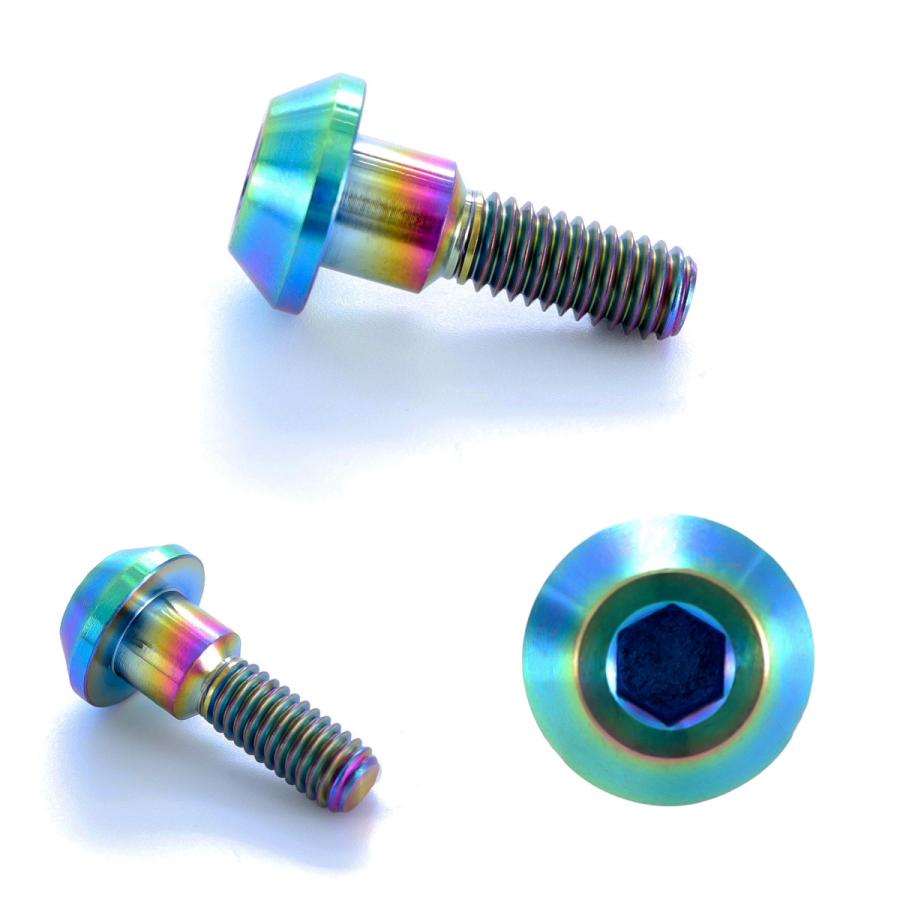 チタンボルト M6×21mm P1.00 ブレーキディスク ローターボルト スズキ