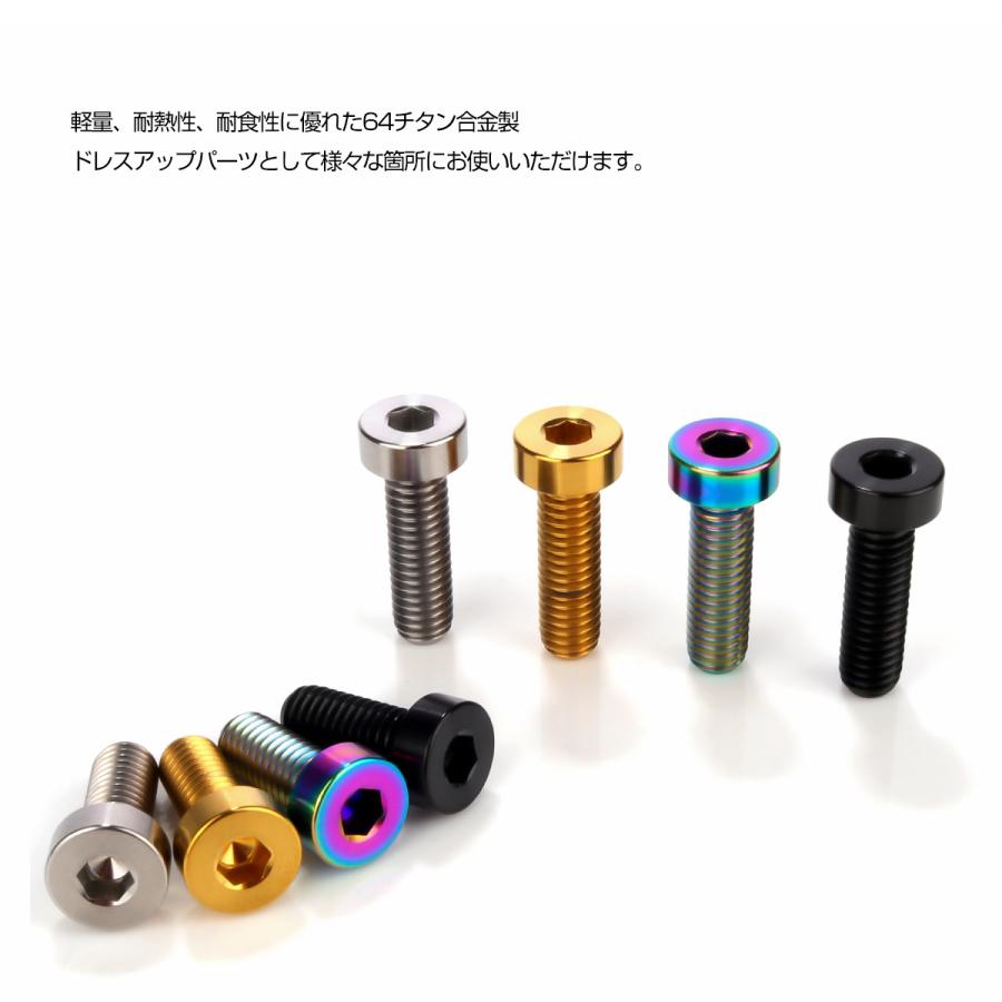 チタンボルト M6×20mm P1.0 キャップボルト 六角穴付 低頭ボルト