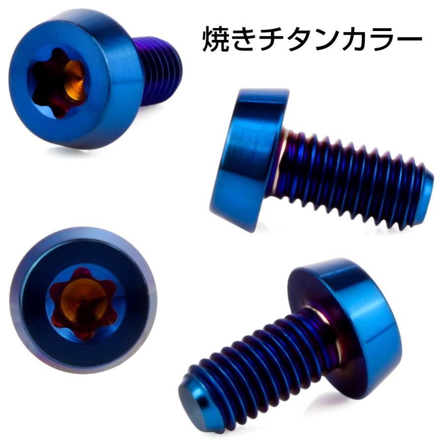 チタンボルト M5×10mm P0.8 テーパー キャップボルト ローヘッド トルクス穴付 低頭キャップ 焼きチタンカラー JA2449 | ブランド登録なし | 02