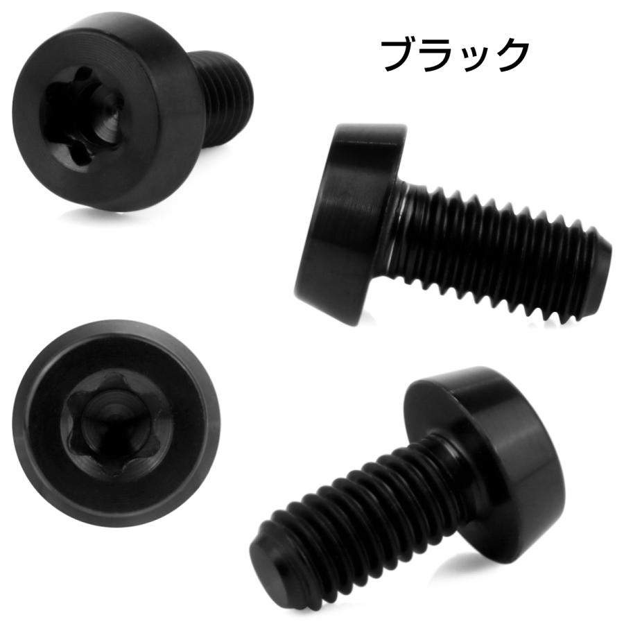 チタンボルト M5×10mm P0.8 テーパー キャップボルト ローヘッド トルクス穴付 低頭キャップ ブラック JA2450 | ブランド登録なし | 02