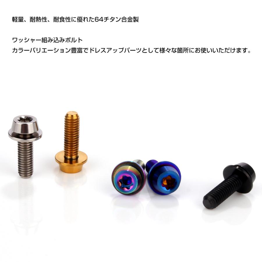 チタンボルト M5×16mm P0.8 ワッシャー組込 ローヘッド テーパー キャップボルト トルクス穴付 低頭キャップ レインボー JA2460 | ブランド登録なし | 03