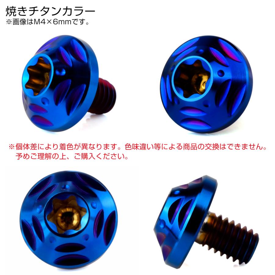 チタンボルト M4×6mm P0.7 ボタンボルト フランジ付き トルクス穴 焼きチタン JA2550 | ブランド登録なし | 02