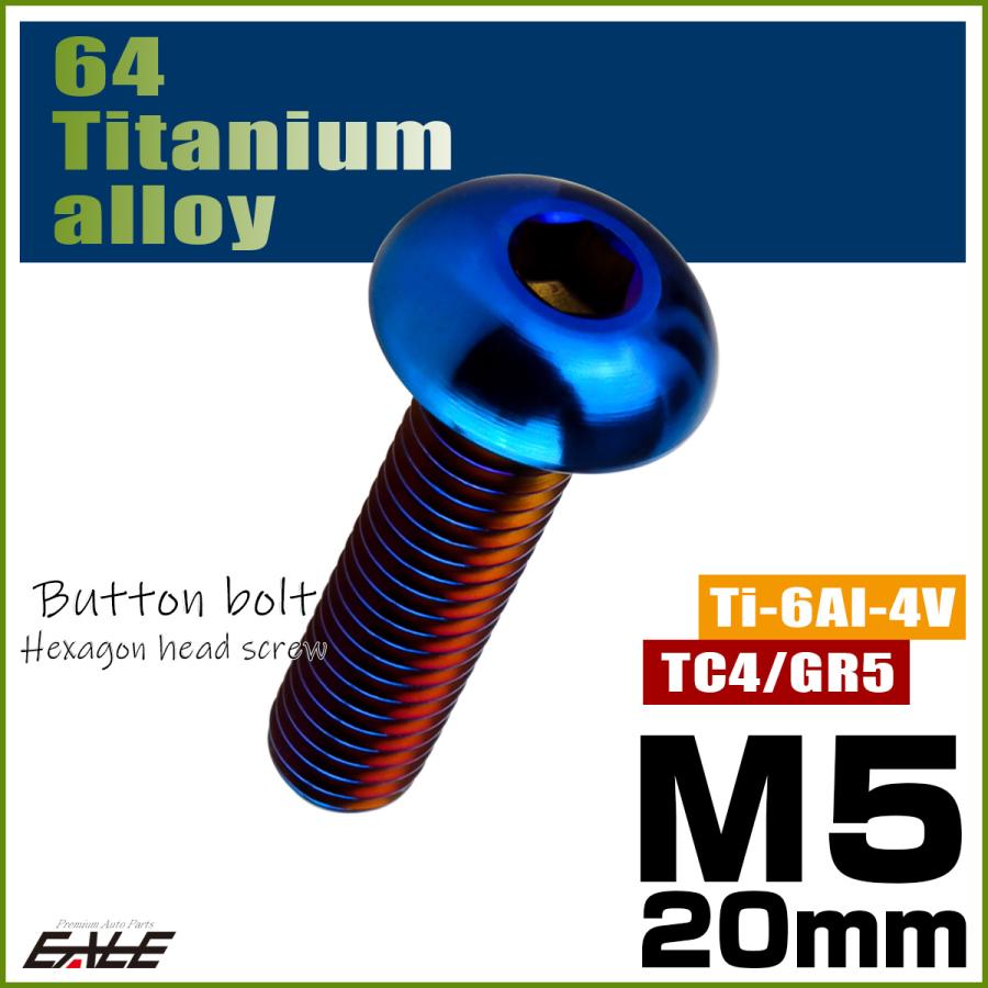 チタンボルト M5×20mm P0.8 ボタンボルト 六角穴 焼きチタンカラー ダークカラー JA2656 | ブランド登録なし | 01