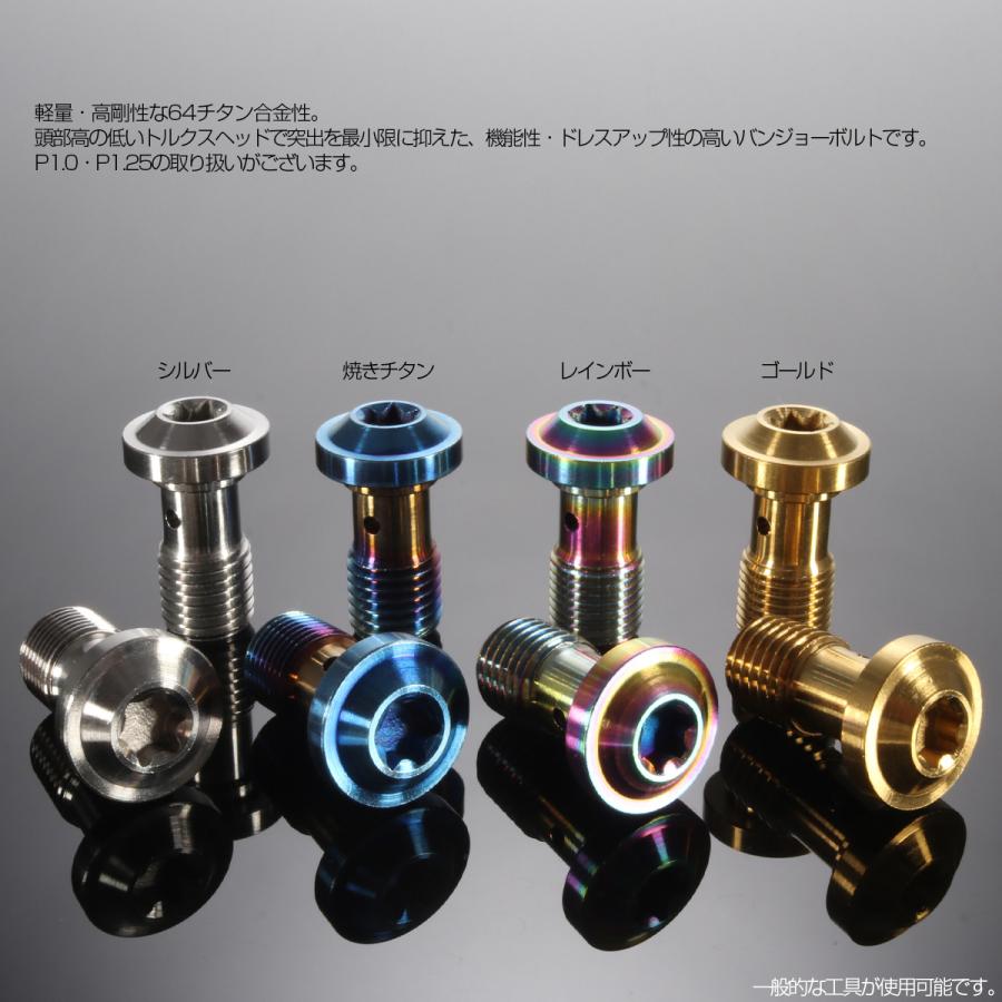 バンジョーボルト M10 P1.25 チタン ブレーキライン シルバー トルクス