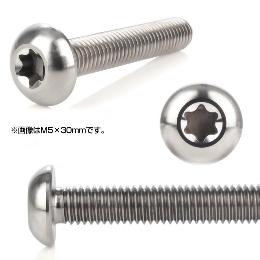 チタンボルト M5 10mm P0.8 ボタンボルト トルクス穴付き シルバー チタン原色 JA459 | ブランド登録なし | 01