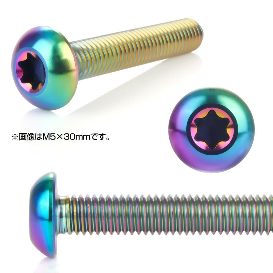 チタンボルト M5 10mm P0.8 ボタンボルト トルクス穴付き 虹色 レインボー JA460 | ブランド登録なし | 01