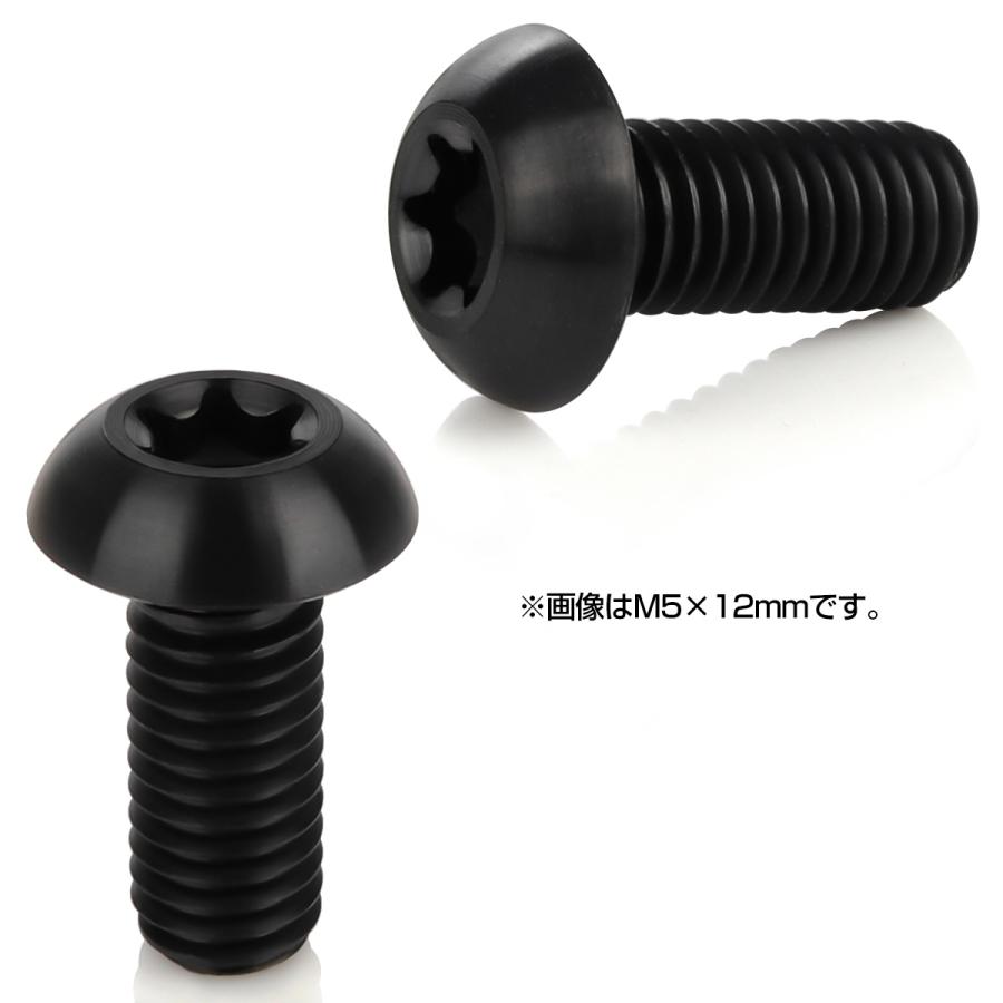 チタンボルト M5 10mm P0.8 ボタンボルト トルクス穴付き ブラック JA462 | ブランド登録なし | 01
