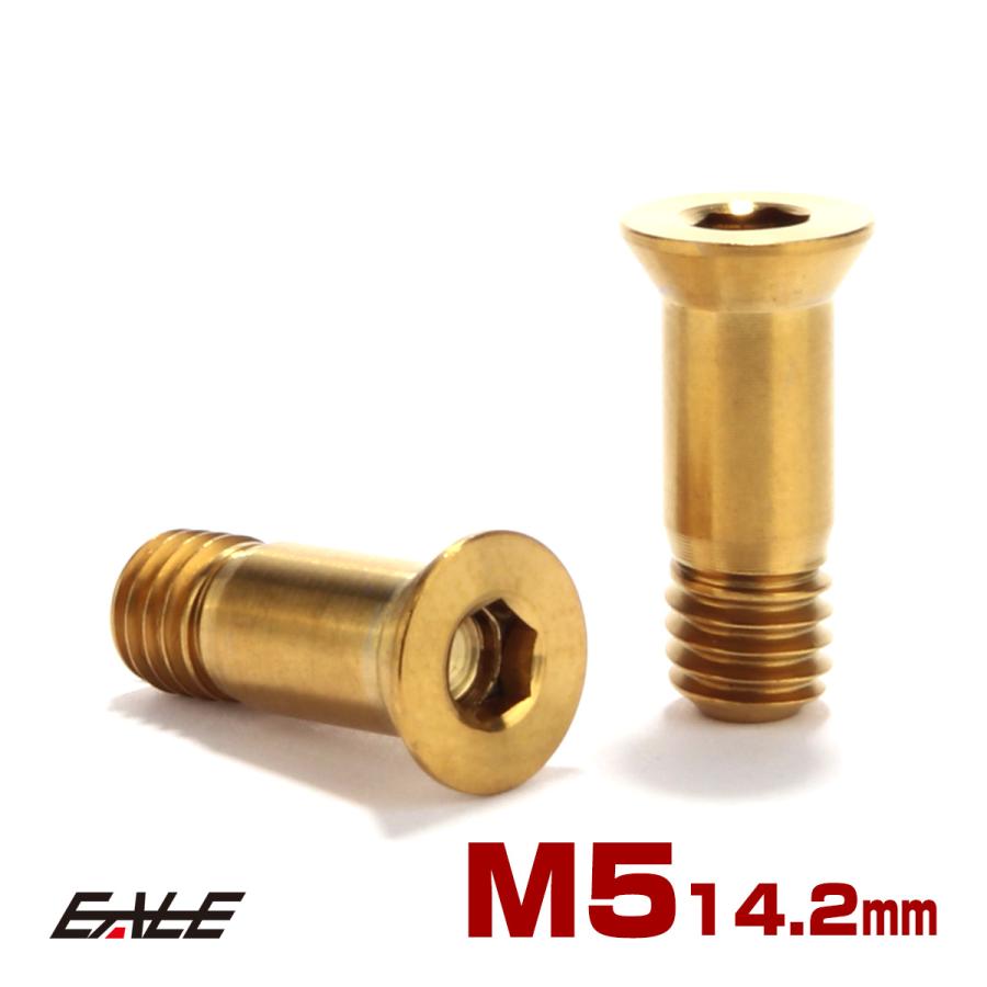 ディレイラープーリー M5×14.2mm チタン ボルト ゴールド 自転車 2本セット JA469 | ブランド登録なし