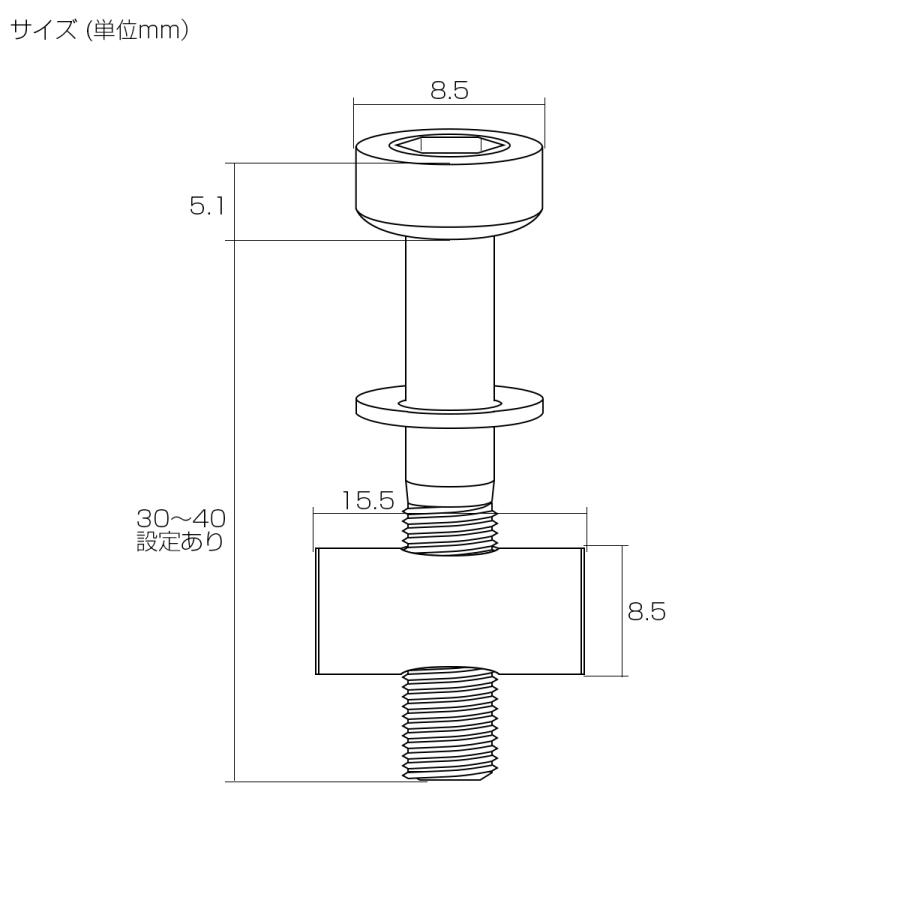 シートポスト用 固定ボルト M5 35mm チタン トムソン対応  レインボー 自転車 2個セット JA474 | ブランド登録なし | 03
