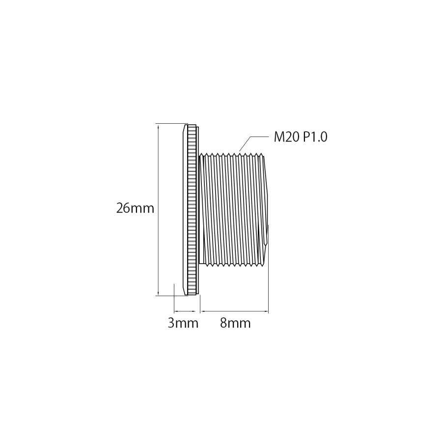 クランクアーム 固定ボルト M20×8mm P1.0 チタン 取り付けボルト シルバー 自転車 JA497 | ブランド登録なし | 04