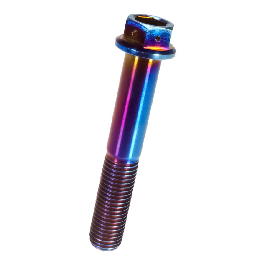 チタンボルト M10×60mm P1.25 六角ボルト フランジ付き 六角穴 焼きチタン風 JA554 | ブランド登録なし | 05