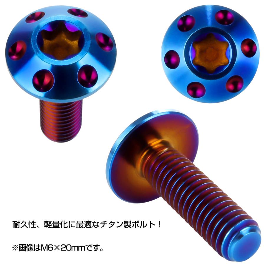 チタンボルト M6×15mm P1.0 ボタンボルト T型 トルクス穴 焼チタン風 ホール JA560 | ブランド登録なし | 01