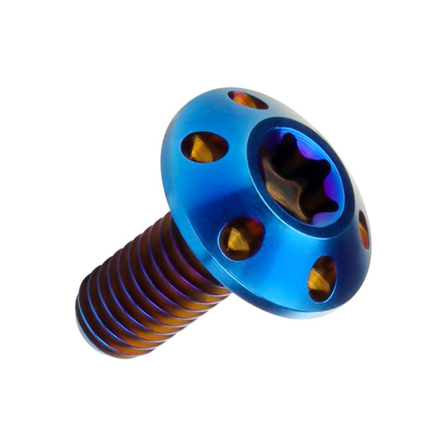 チタンボルト M6×15mm P1.0 ボタンボルト T型 トルクス穴 焼チタン風 ホール JA560 | ブランド登録なし | 04