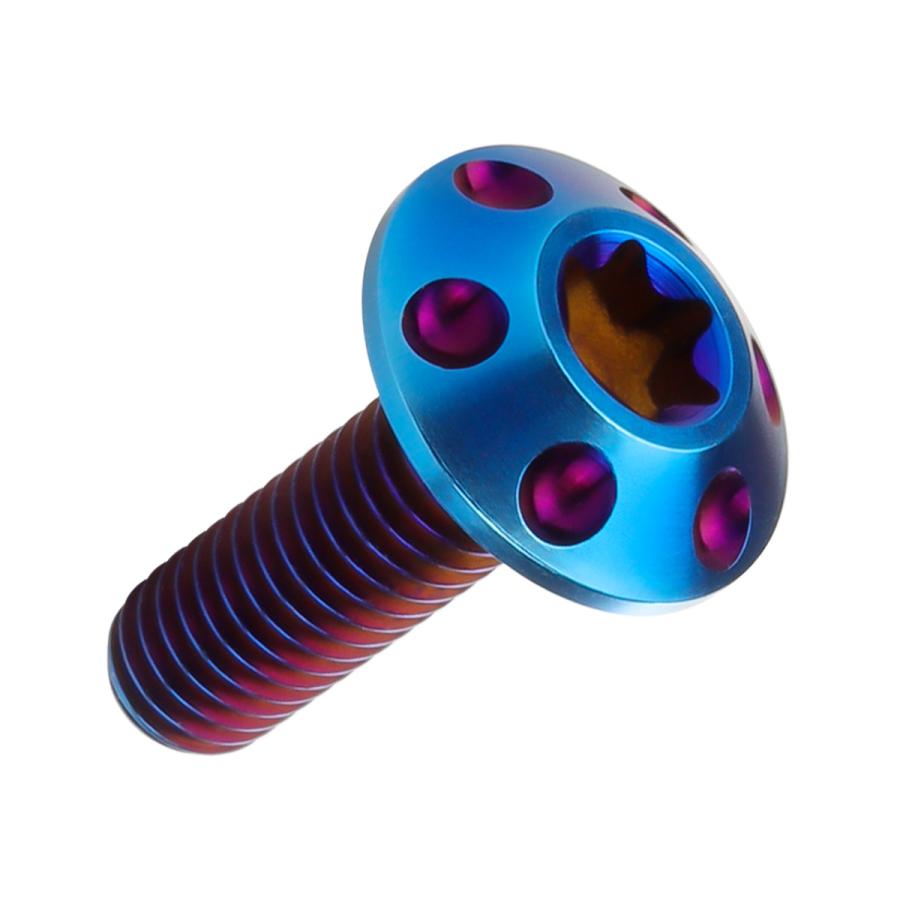 チタンボルト M6×20mm P1.0 ボタンボルト T型 トルクス穴 焼チタン風 ホール JA561 | ブランド登録なし | 04
